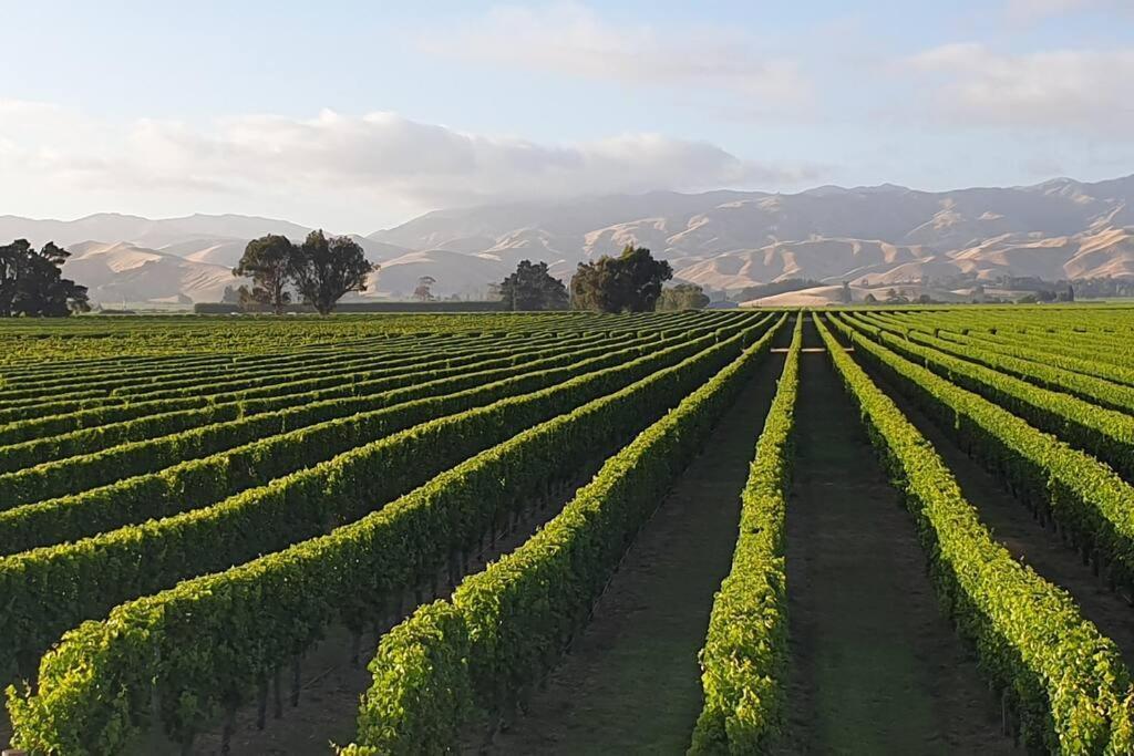Luxury Cottage With Stunning Vineyard Views Renwick Exterior foto